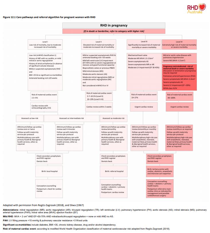 Figure 12.1 - care pathways and referral algorithm for pregnant women with RHD 