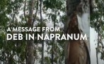 A message from Deb in Napranum. Rheumatic Fever and Rheumatic Heart Disease affects over 3,600 people in Queensland.