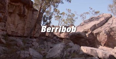 A story of ARF told by Berribob Watson