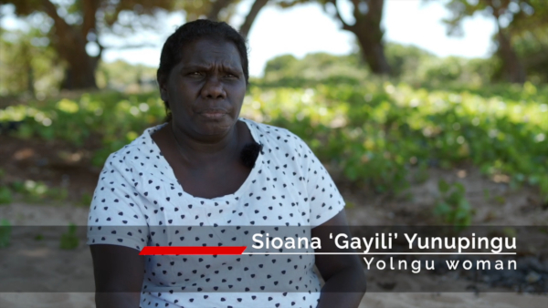 RHD – Sioana ‘Gayili’ Yunipingu